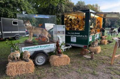 Ein Morgen auf dem Pferdemarkt - Der Aufbau steht