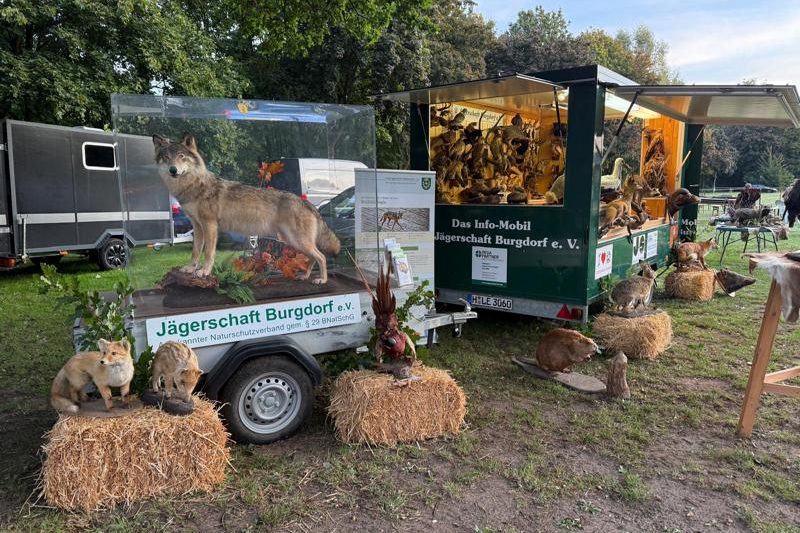 K800_Ein Morgen auf dem Pferdemarkt - Der Aufbau steht Ein Morgen auf dem Pferdemarkt - Der Aufbau steht