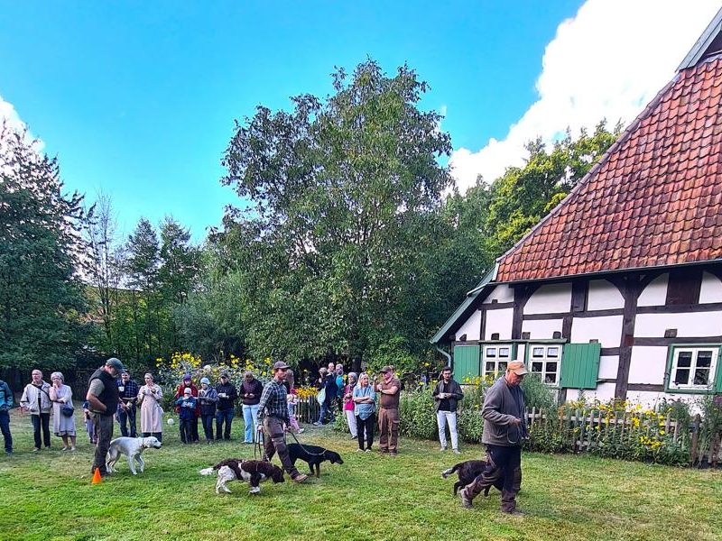 K800_Hundevorführung Ortrud_2 Hundevorführung Ortrud_2