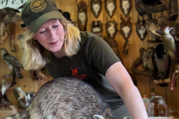 K800_Team Infomobil Erlärung