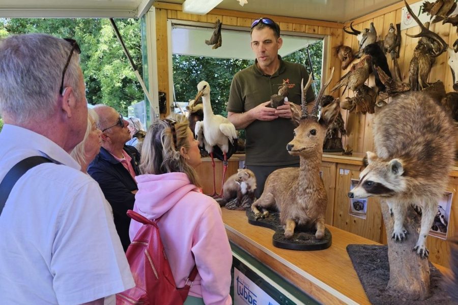 Infomobil_3